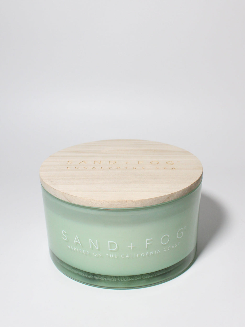 Eucalyptus Spa 23 oz scented candle Premium