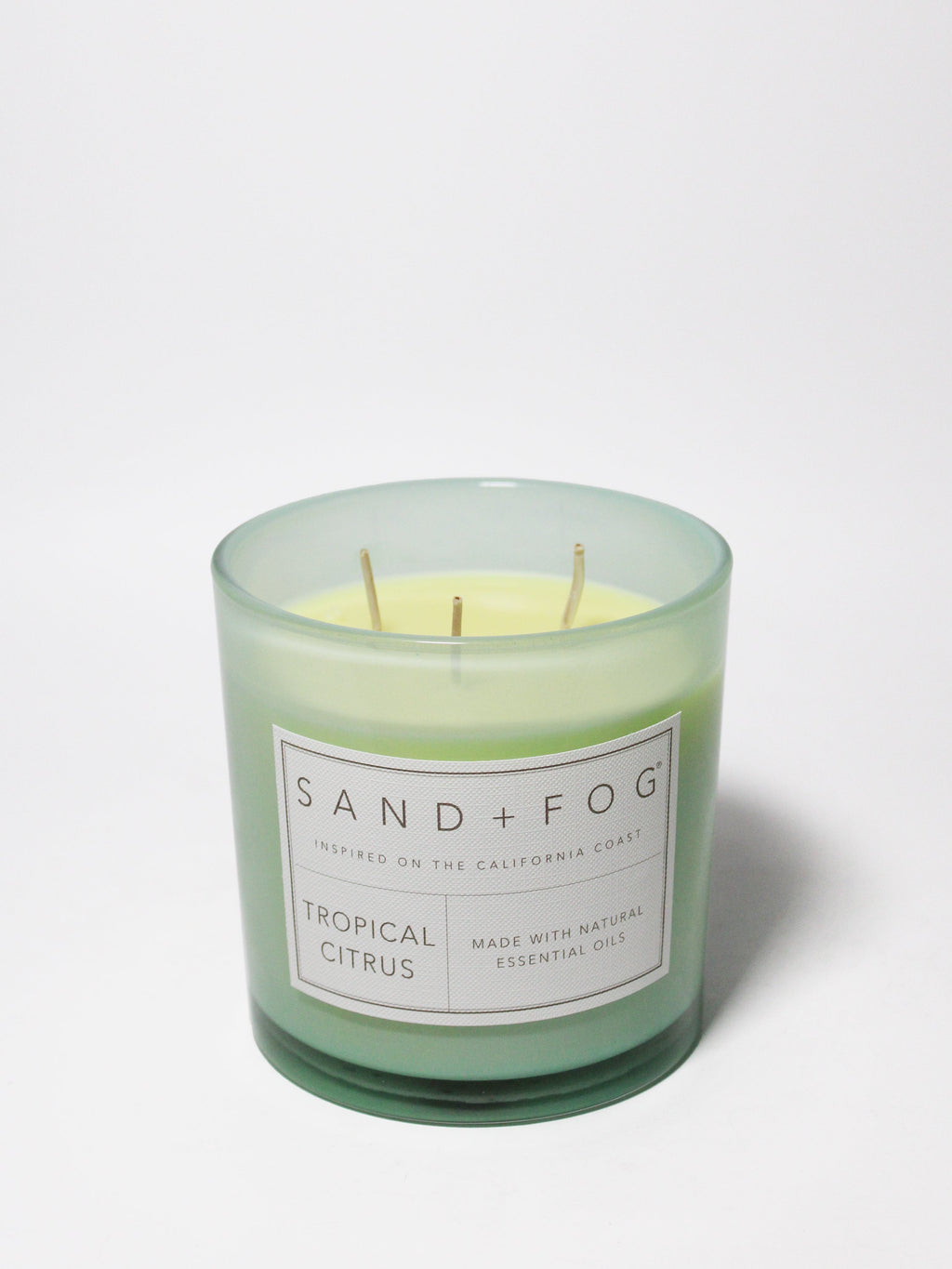 Tropical Citrus 21 oz scented candle Premium