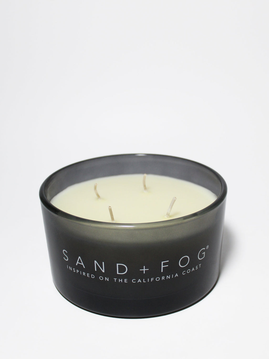 Fern & Moss 23 oz scented candle Premium