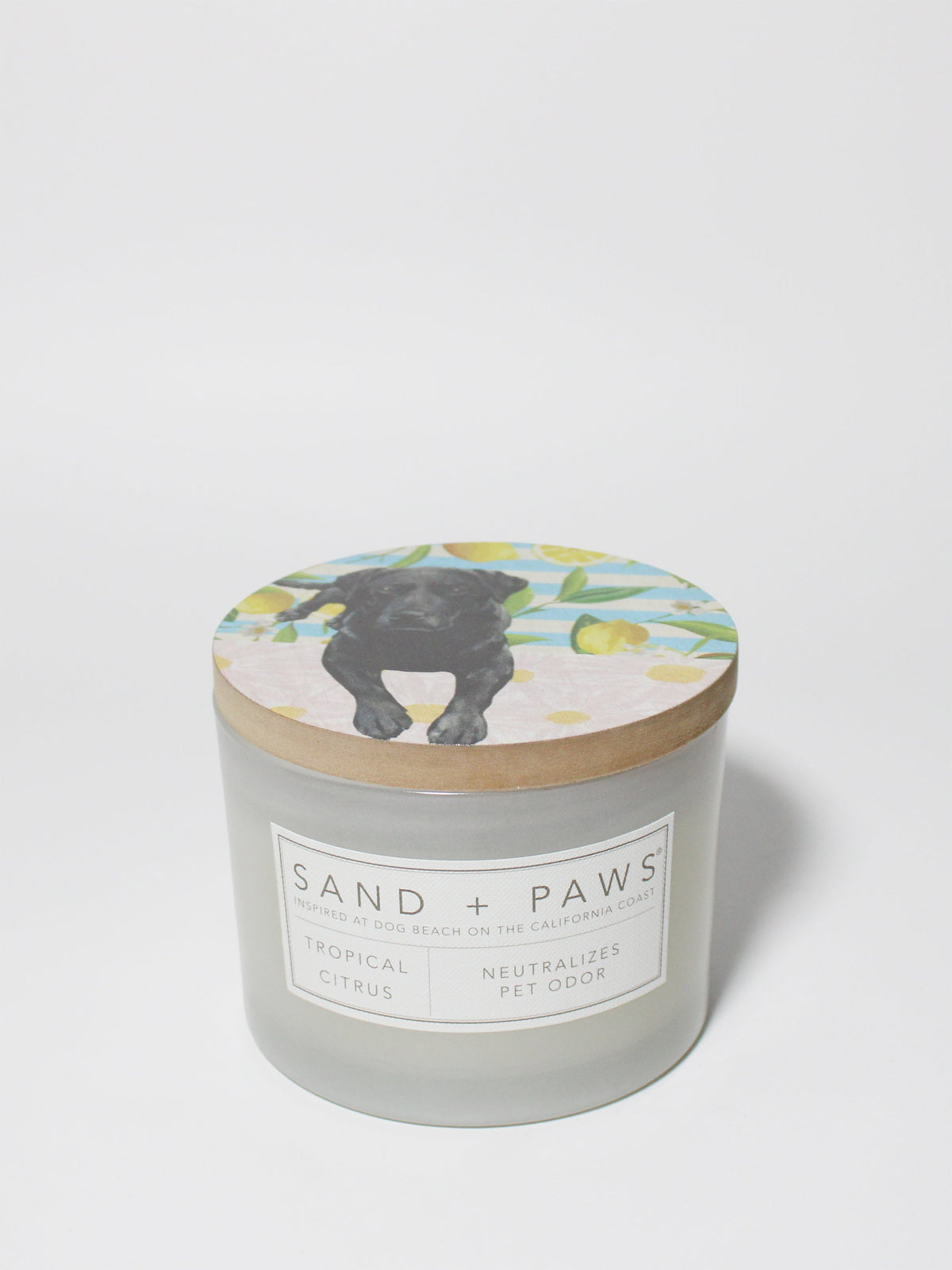 Sand + Paws Tropical Citrus 12 oz scented candle Premium