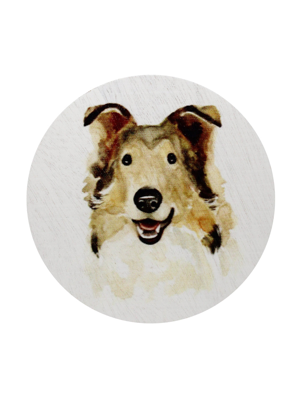 Sand + Paws Desert Rain 12 oz scented candle Premium
