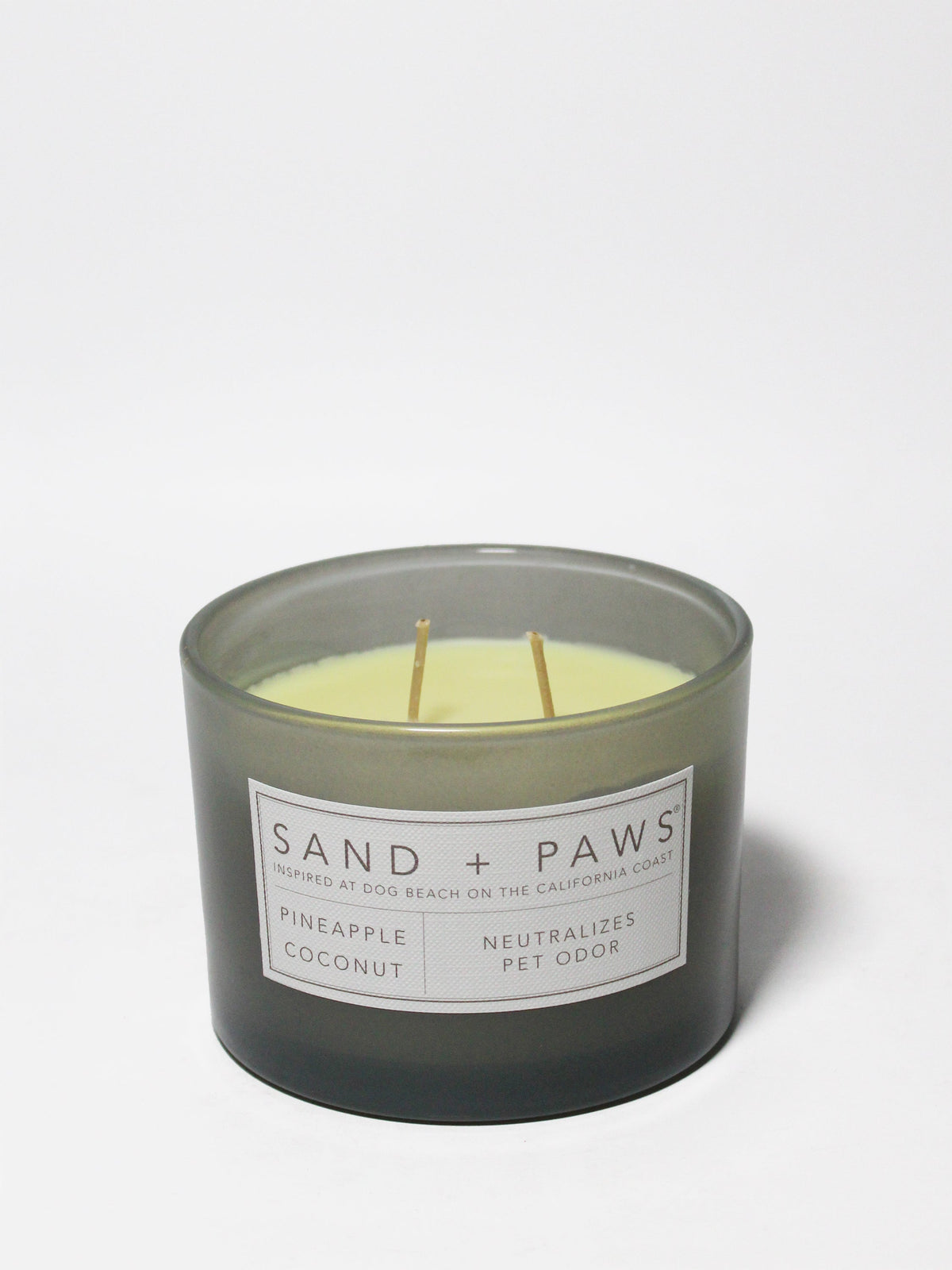 Sand + Paws Pineapple Coconut 12 oz scented candle Premium