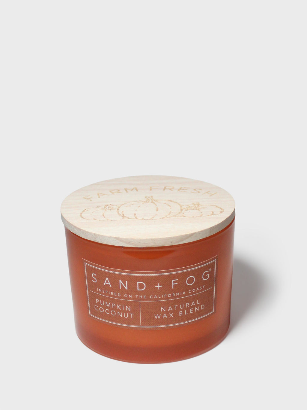 Pumpkin Coconut 12 oz scented candle Premium