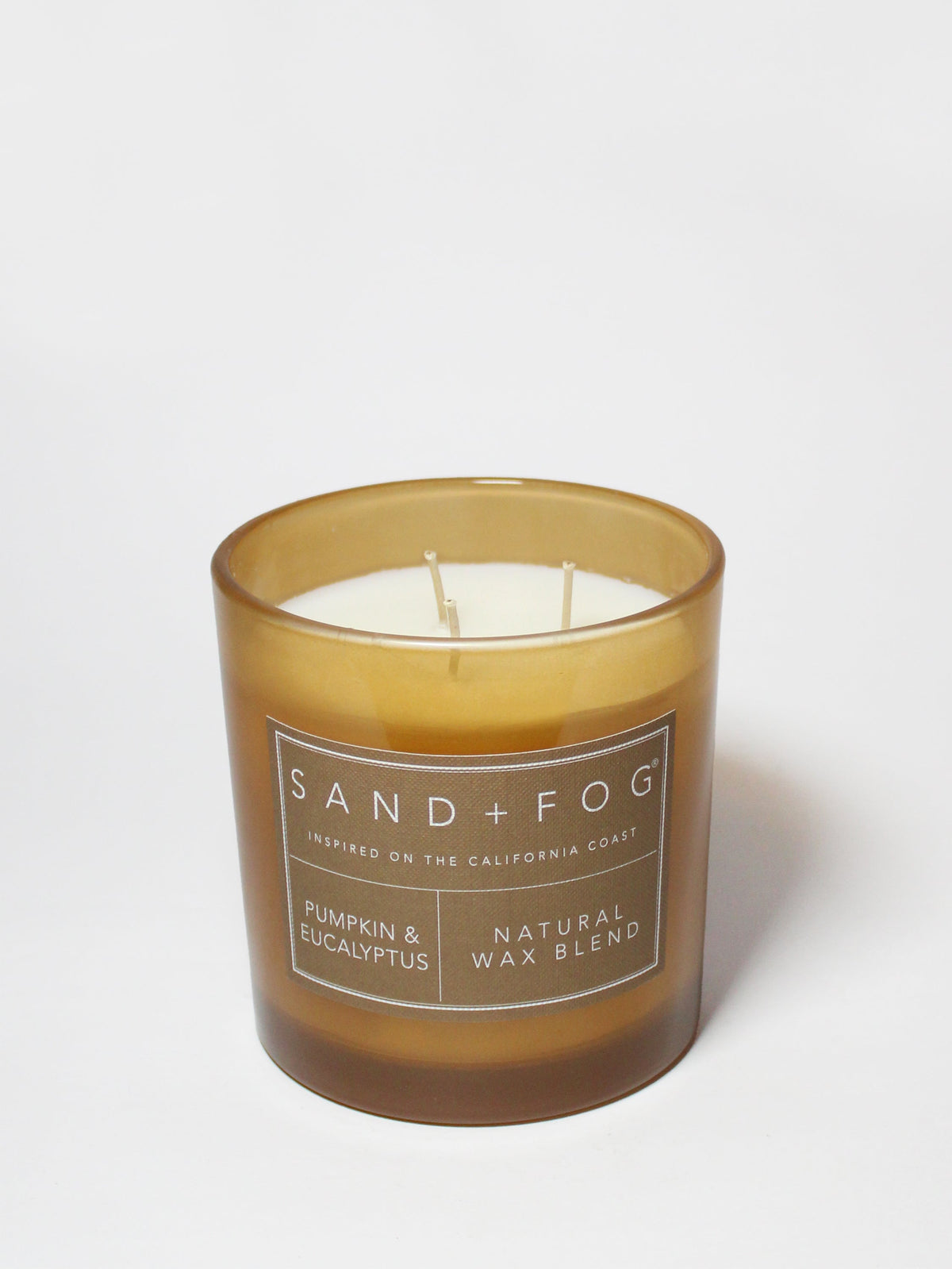 Pumpkin & Eucalyptus 21 oz scented candle Premium