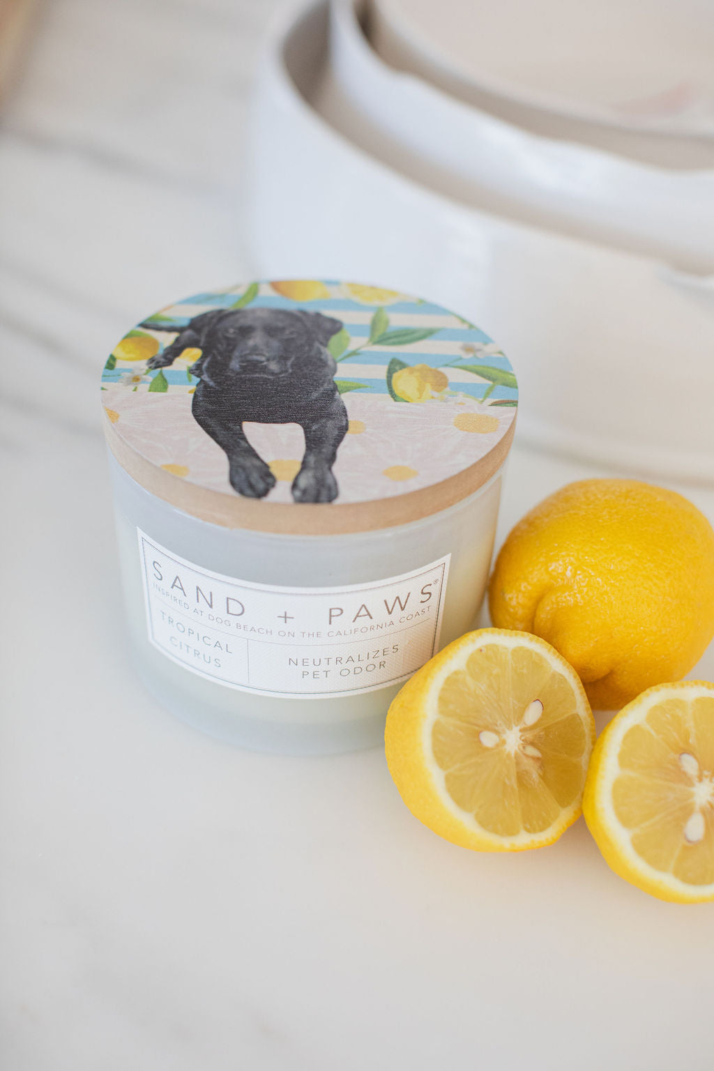 Sand + Paws Tropical Citrus 12 oz scented candle Premium