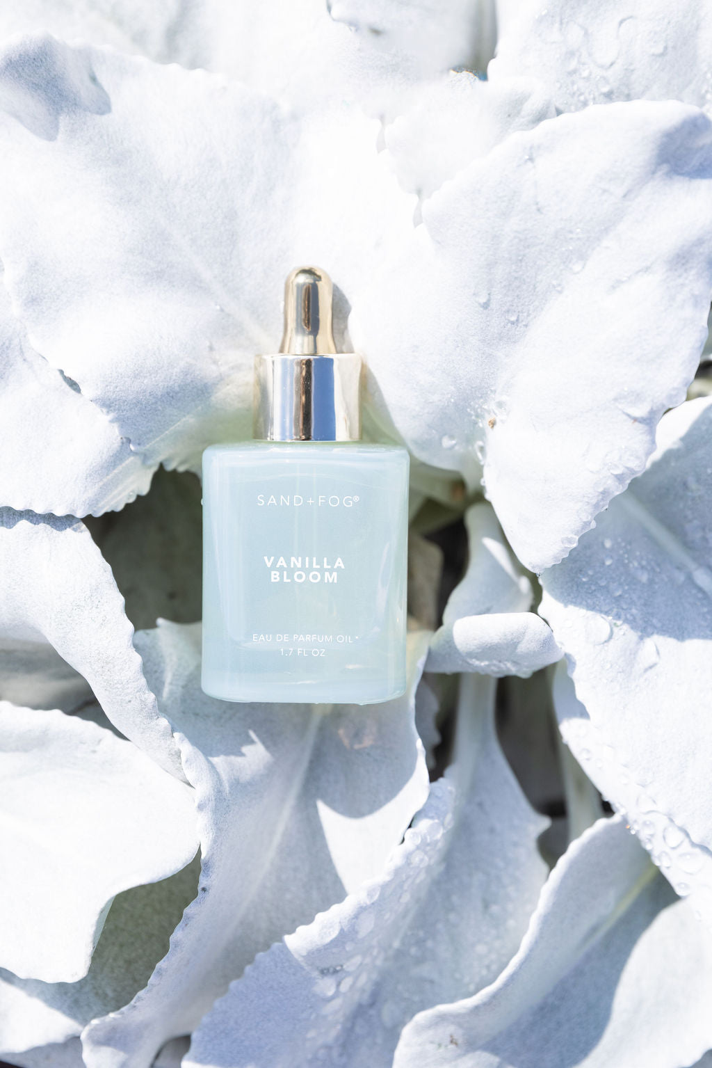 Vanilla Bloom 50 ml Luxurious Perfume Oil Dropper