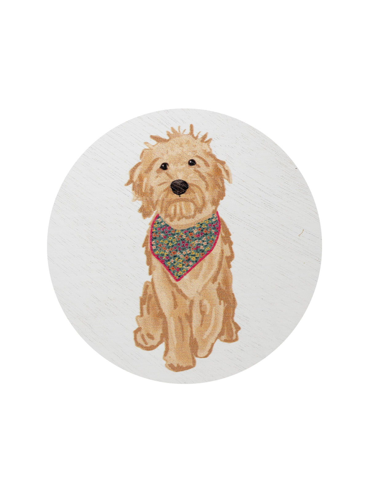 Sand + Paws Laundry Day 12 oz scented candle Premium