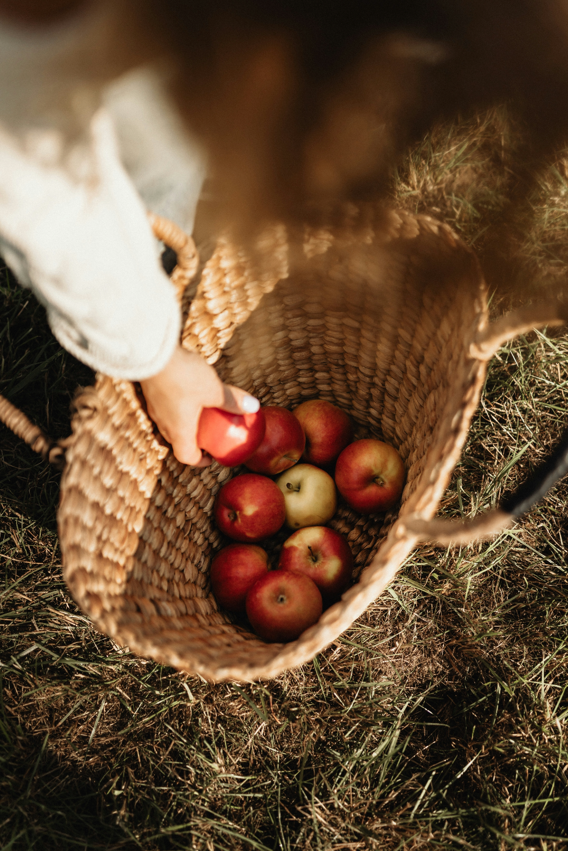 Apple Picking 12 oz scented candle Premium