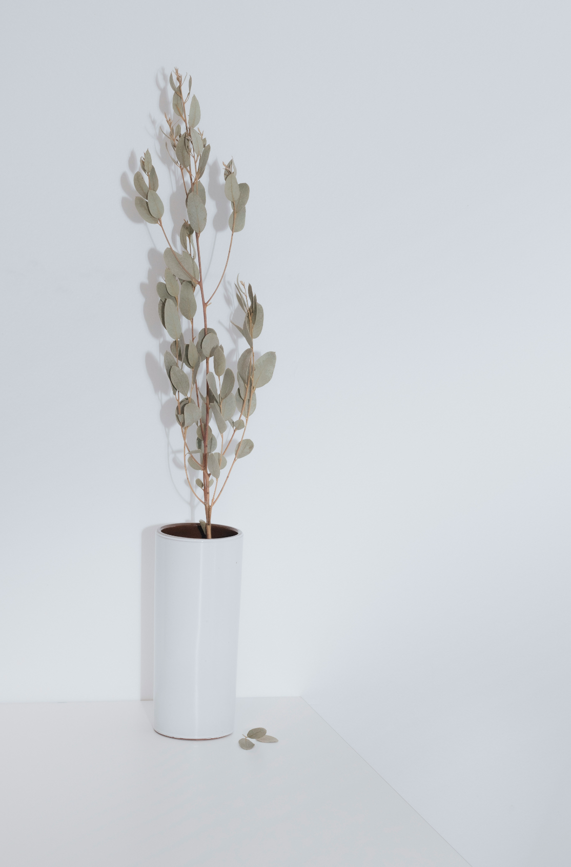 Eucalyptus Spearmint 100 ml Aromatic Reed Diffuser