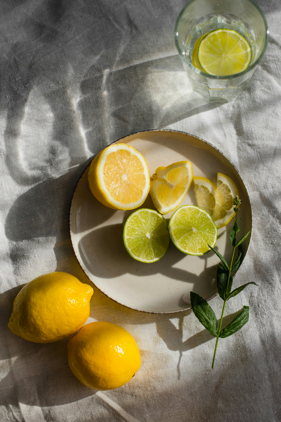 Limoncello 10 oz scented candle Premium