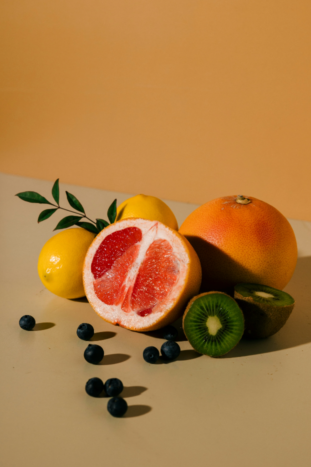 Sand + Paws Tropical Citrus 21 oz scented candle Premium