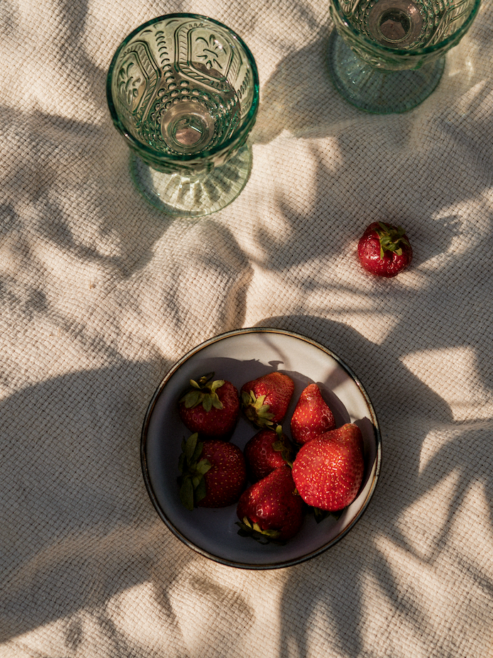 Sand + Paws Strawberry Mimosa 12 oz scented candle Premium