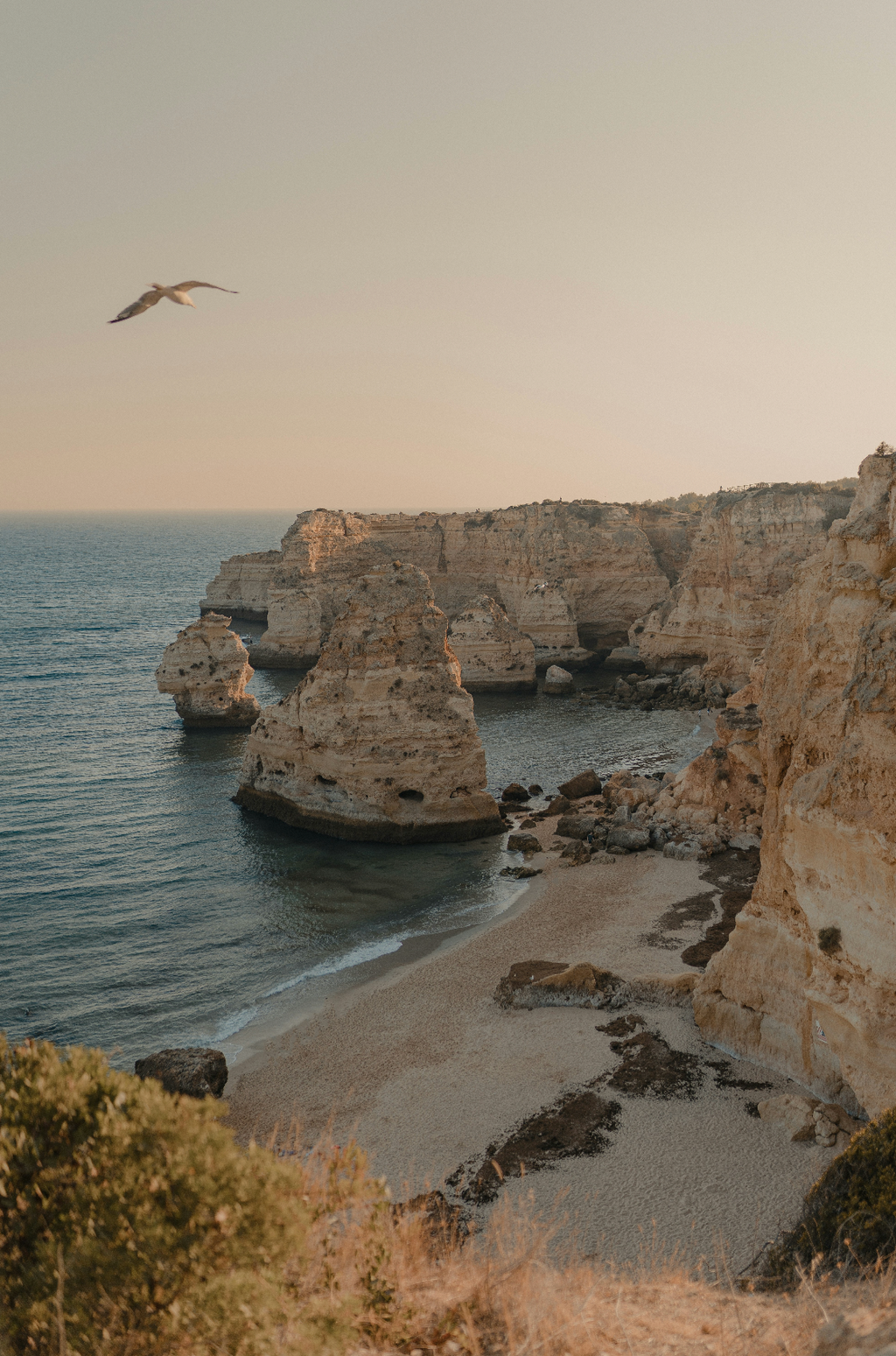Amber Cove 100 ml Elegant Eau de Toilette