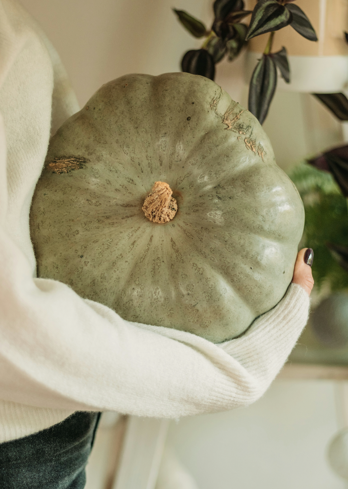 Sage Pumpkin 8.45 oz Liquid Gentle Hand Soap