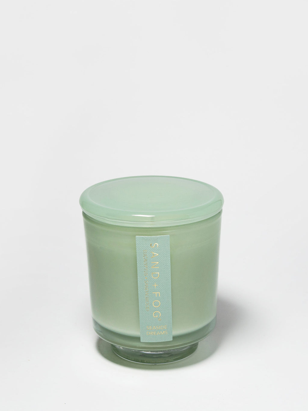 Seaside Dreams 8 oz scented candle Premium