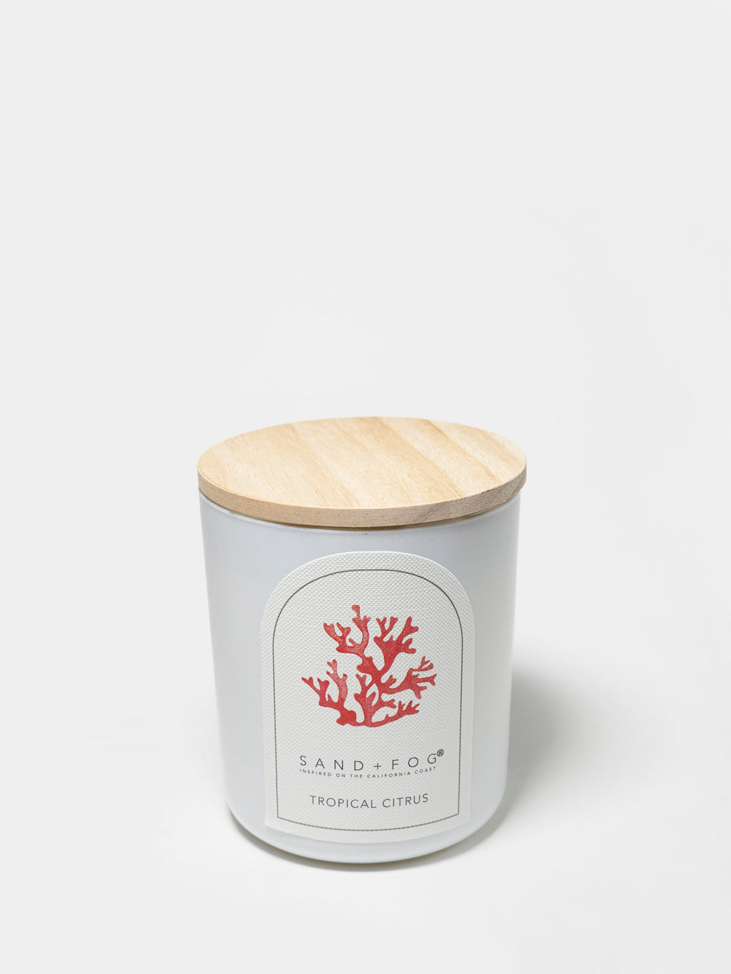 Tropical Citrus 10 oz scented candle Premium