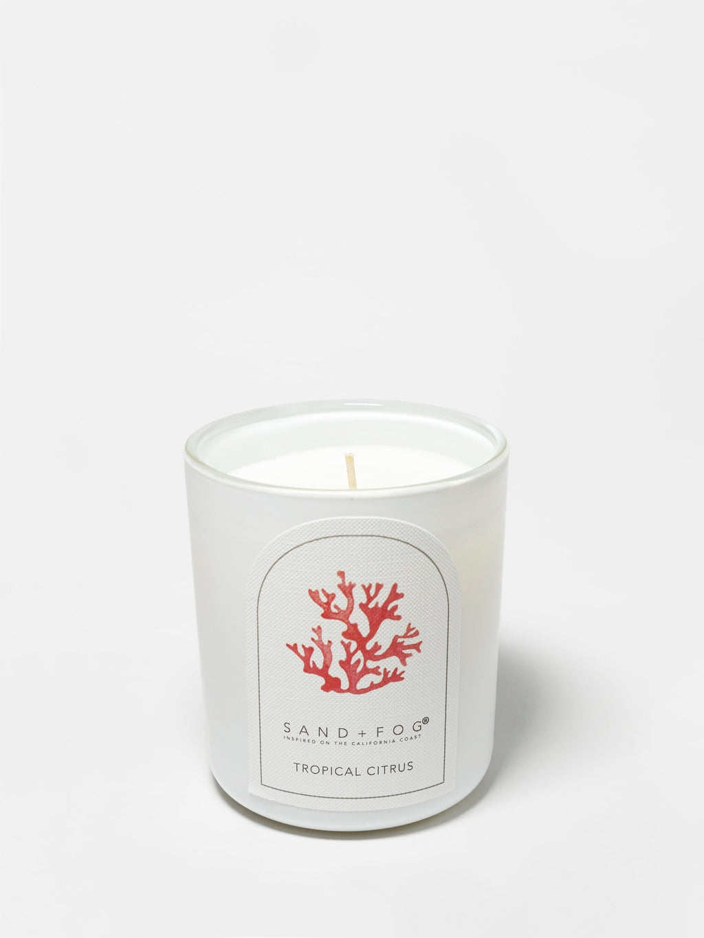Tropical Citrus 10 oz scented candle Premium