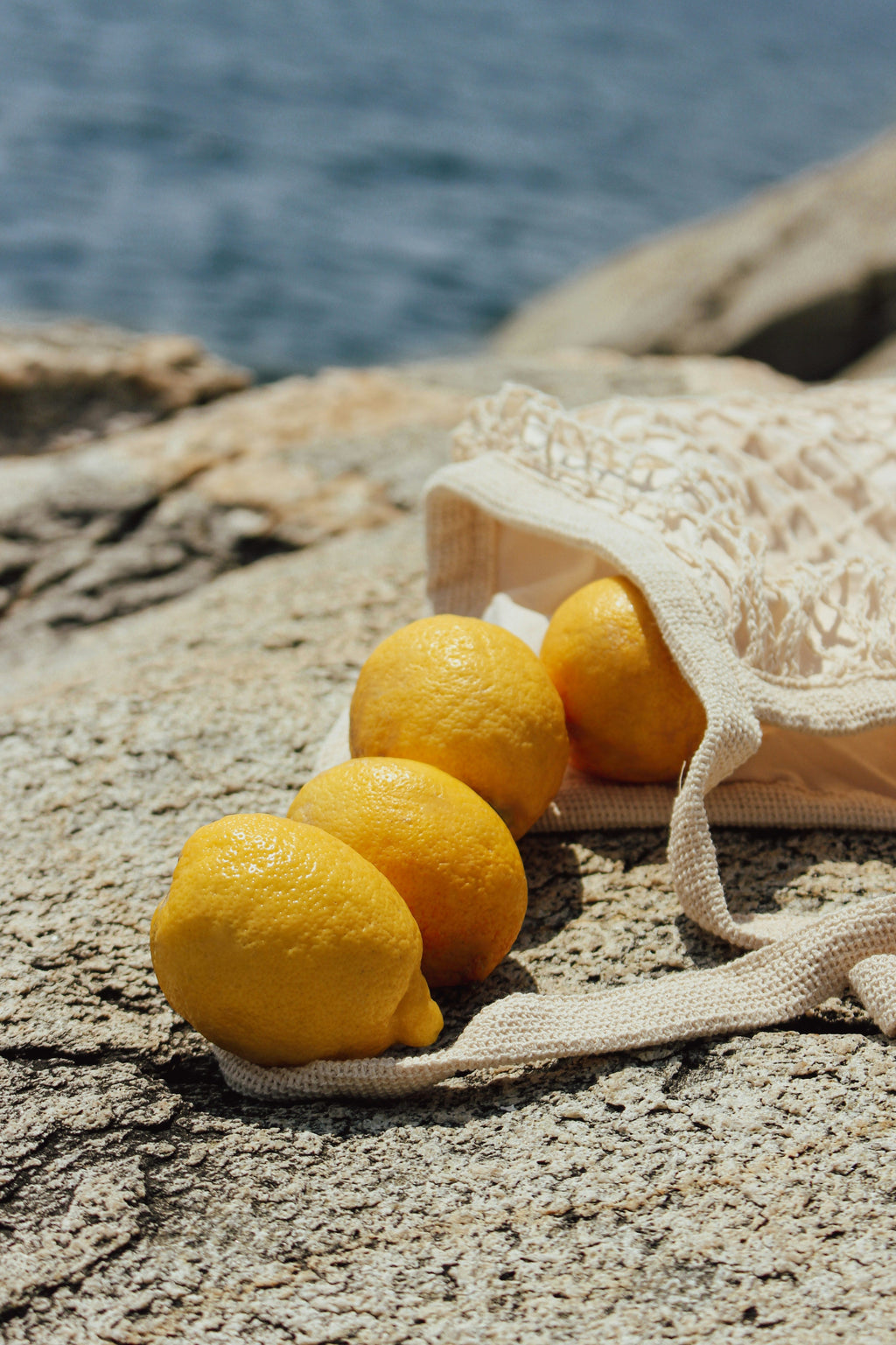 Italian Citrus 8 oz scented candle Premium