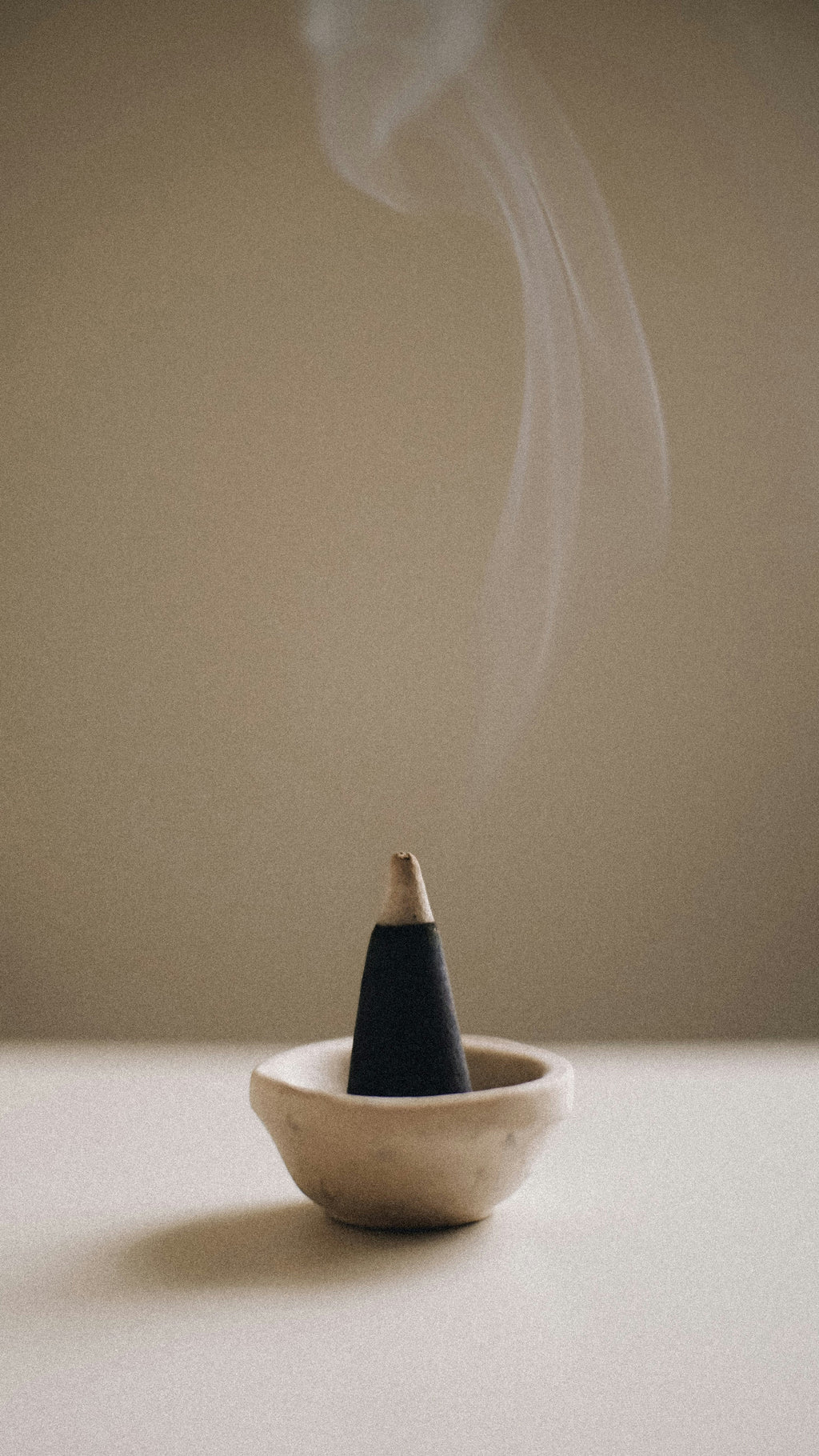 Saddle & Cardamom 12 oz scented candle Premium
